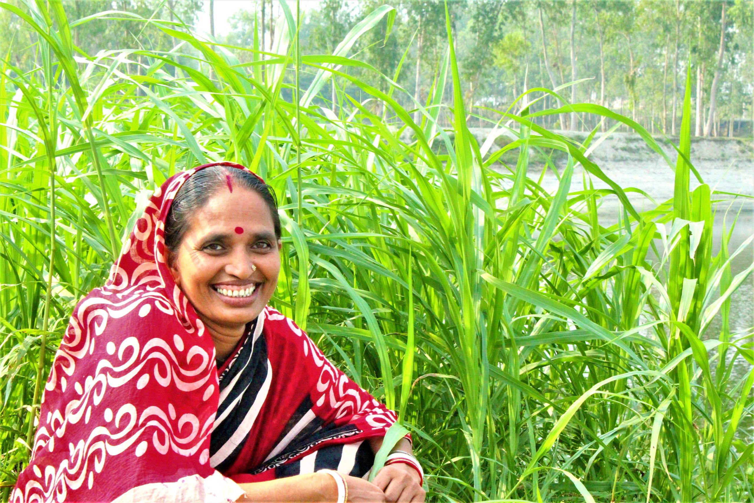 Institutional Strengthening and Project Management - PKSF-Rural ...