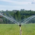 Sprinkler irrigation revolutionises fruit farming in Tangail