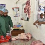 Meat processing plant established